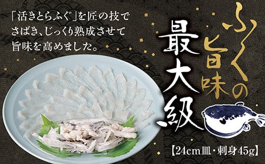 D669 とらふく刺身24cm皿（45g）