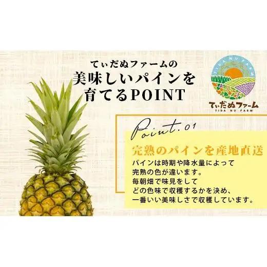 ＜先行予約＞ 石垣島産 ハワイ種パイン 2～3玉 約3kg 
