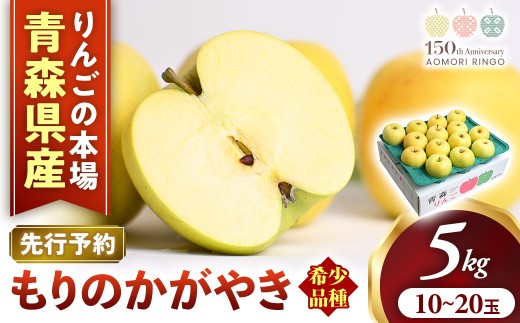 希少！りんご【もりのかがやき】約5kg（10～20玉）【2026年産・先行予約】★2026年10月上旬～10月下旬頃まで発送予定★ りんご 林檎 リンゴ 国産 もりのかがやき 希少 フルーツ 果物 贈答 土産 青森県 三戸町 R0101