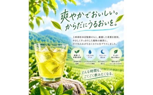 綾鷹 ミネラル緑茶 650mlPET 24本入り  1ケース　愛媛県西条市 ｜ お茶 緑茶 綾鷹 あやたか ペットボトル