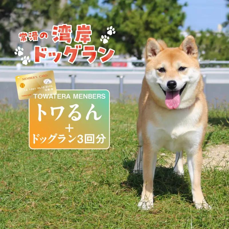 【TOWATERAメンバーズ】ドッグラン、ペットホテルなどをお得に利用できる「トワるん」会員入会＋ドッグラン3回分（1頭）｜ペット 常滑市