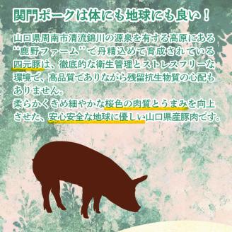 関門ポークのバターポークカレー 170g x 5袋 肉特集