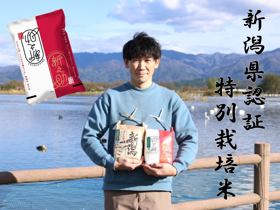 
            【令和7年産新米予約】【新潟県認証米】 5kg 特別栽培米 新之助 阿賀野市産 丸山農園 10月中旬より順次発送予定 3F03014
          