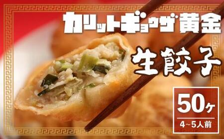 カリットギョウザ 生餃子48ケ【6人前】ジューシー ひとつひとつが大きい