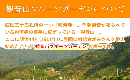 観音山グレープフルーツ 3kg 有限会社柑香園《2027年1月上旬-2月下旬頃出荷》和歌山県 紀の川市 フルーツ 果物 柑橘 グレープフルーツサンタマリア