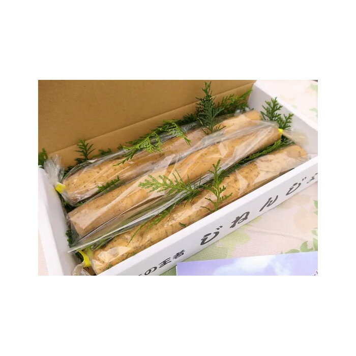 【ふるさと納税】【相良パーティ】屋久島産自然薯1kg | 野菜 やさい 食品 人気 おすすめ 送料無料