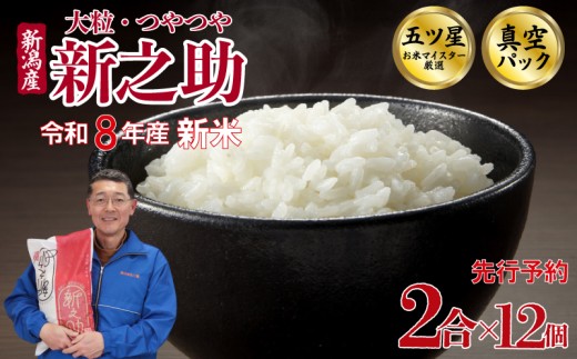 【最短5日発送！】 新米 新之助 真空パック 2合 12個 3.6kg 令和8年産 新潟県産 五つ星お米マイスター 米 小分け 少量 お裾分け 一人暮らし 新発田産 備蓄 非常 防災 長期保存 アウトドア ごはん 精米 白米 おこめ お米 新潟県 新発田市 三糧 こめ sanryo007_01