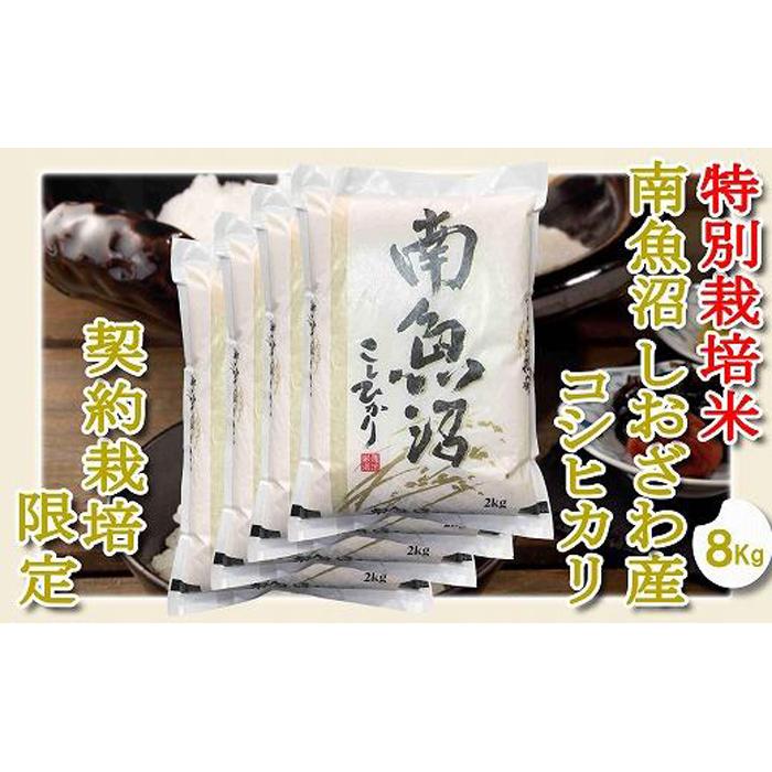 【ふるさと納税】【令和7年産】【精米8Kg】特別栽培 生産者限定 南魚沼しおざわ産コシヒカリ | お米 こめ 白米 コシヒカリ 食品 人気 おすすめ 送料無料 魚沼 南魚沼 南魚沼市 新潟県産 新潟県