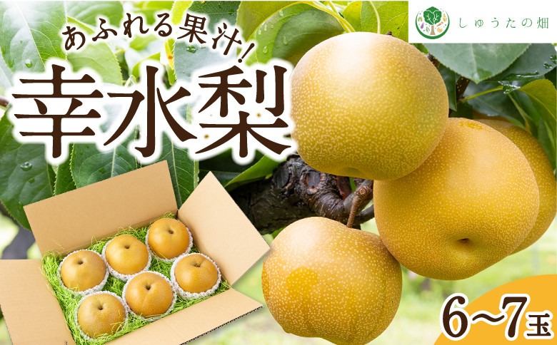 
            【先行予約】 しゅうたの畑 あふれる果汁 幸水梨 6玉から7玉 【2026年7月下旬～8月上旬より順次発送予定】 梨 なし ナシ 幸水 こうすい 果物 くだもの フルーツ 果実 ジューシー 産直農園 お取り寄せ 福岡県 うきは市 常温
          