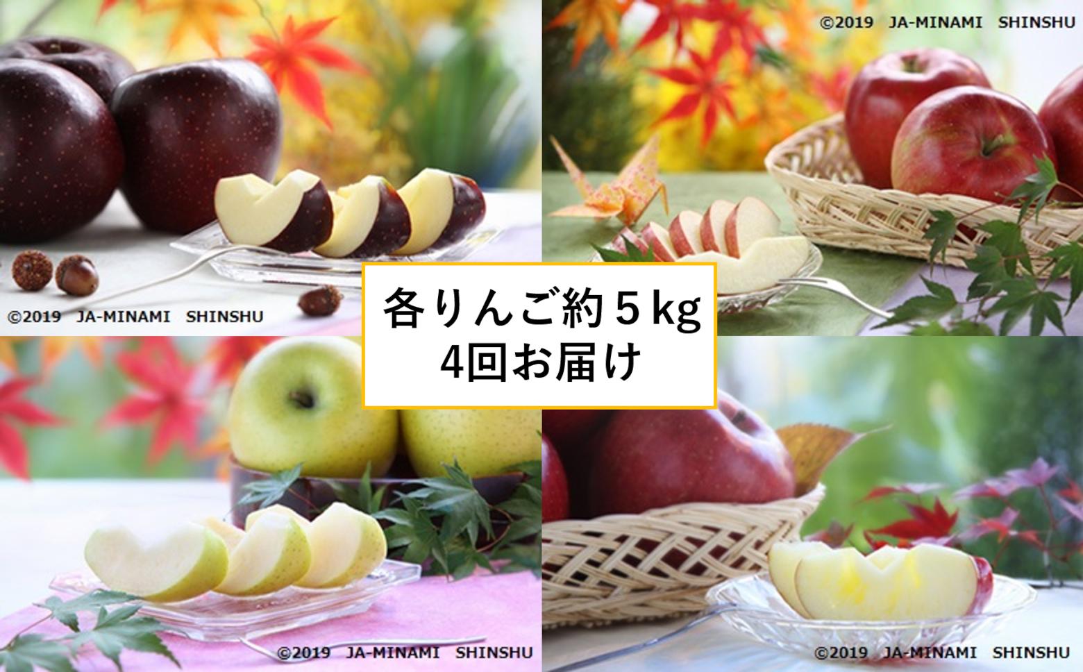 
            7-J26　スーパーりんごリレー（秋映・スイート・ゴールド・サンふじ各約5kg）
          
