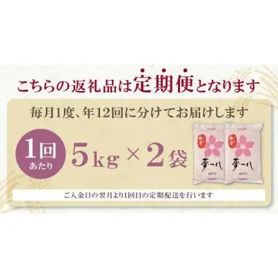Y17-88 無洗米 福岡県産・夢つくし10kg定期便(毎月・年12回)