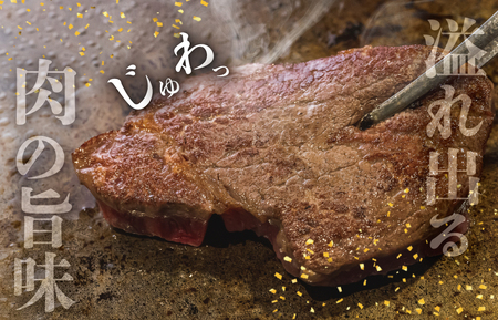松阪牛 600g(4枚) ヒレステーキ松阪牛 E2