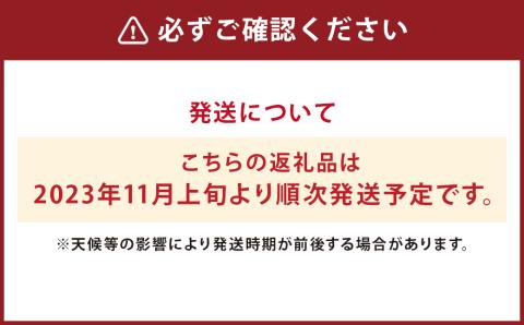 【2023年11月上旬より順次発送】菊芋(生) 5kg【メロンドーム】