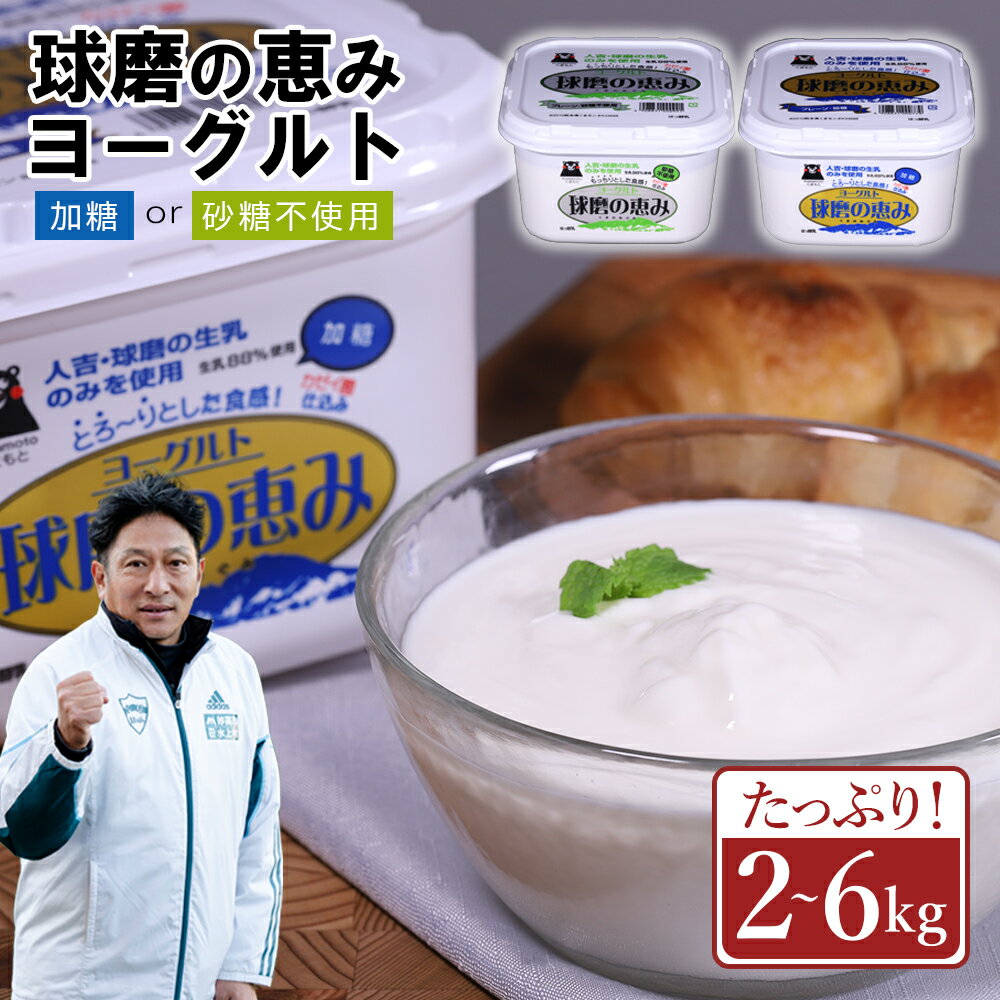 【ふるさと納税】球磨の恵み ヨーグルト 選べる容量 2kg / 3kg / 4kg / 6kg プレーン 加糖 無糖 砂糖不使用 まとめ買い 大容量 送料無料 熊本県 水上村
