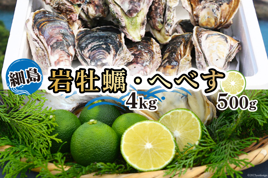 【期間限定発送】岩牡蠣 殻付き 細島 岩ガキ 約4kg 日向特産 へべす 500ｇ セット [道の駅日向 宮崎県 日向市 452061391] いわがき 岩がき 牡蠣 日豊海岸 濃厚 クリーミー