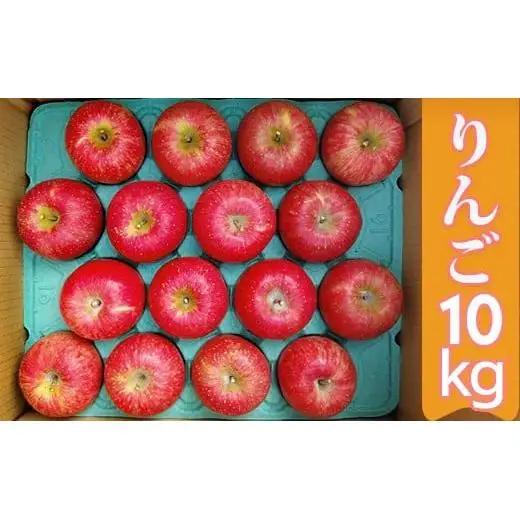 【11月下旬より順次お届け】[数量限定] 矢板市産完熟りんご ふじ 10kg箱｜リンゴ 林檎 フルーツ 果実 果物 スイーツ 産地直送 栃木県産 国産 先行予約 