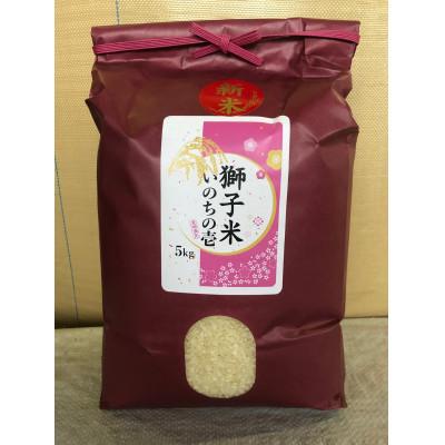 ふるさと納税 石岡市 【令和7年産】獅子米 いのちの壱 精米 5kg