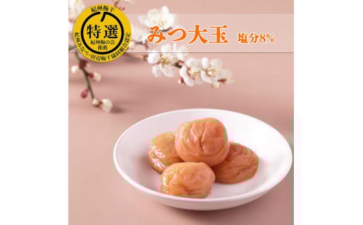 はちみつ梅 梅干し 紀州南高梅 大粒 みつ大玉 800g（塩分8％） 高級　A-070