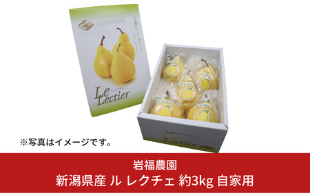 先行予約 ル レクチェ 自家用 3kg 訳あり 新潟県産 洋梨 ル・レクチェ [岩福農園] 【010P026】