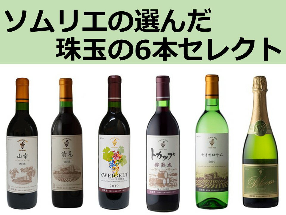【ふるさと納税】ソムリエの選んだ珠玉の6本セレクト 北海道 国産ワイン 十勝ワイン 厳選 セレクト セレクション ビンテージ ヴィンテージ ソムリエ 高級 ワイン 高評価 赤ワイン 白ワイン