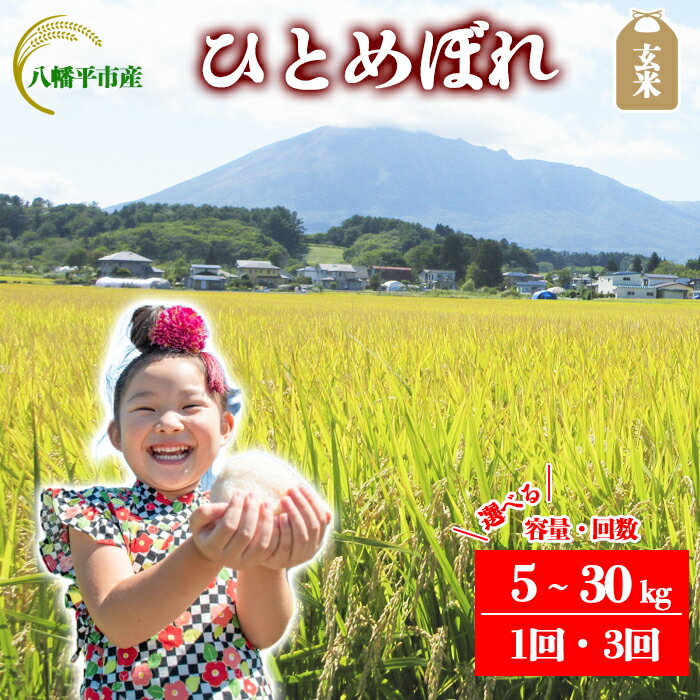 【ふるさと納税】 【令和7年産】【先行予約】 2025年産 岩手県産 米 こめ お米 玄米 選べる 発送回数 1回 3回 容量 5kg 10kg 30kg ひとめぼれ ／ げんまい ご飯 ごはん おこめ ライス 単発便 定期便 おにぎり おすすめ 国産米 東北 岩手県 八幡平市 送料無料 かきのうえ