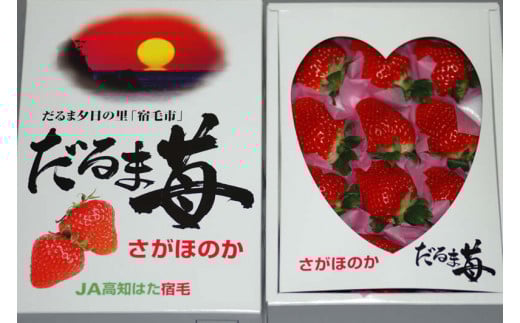 だるま苺（さがほのか）化粧箱　いちご 大粒 フルーツ 果物 贈答 ギフト スイーツ こだわり 冷蔵 JA 農協 高知 だるま夕日