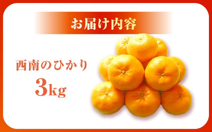柑橘 果物 フルーツ みかん ミカン ご家庭用 長与町 長崎県 国産 九州 産地直送 旬 甘い 濃厚 希少