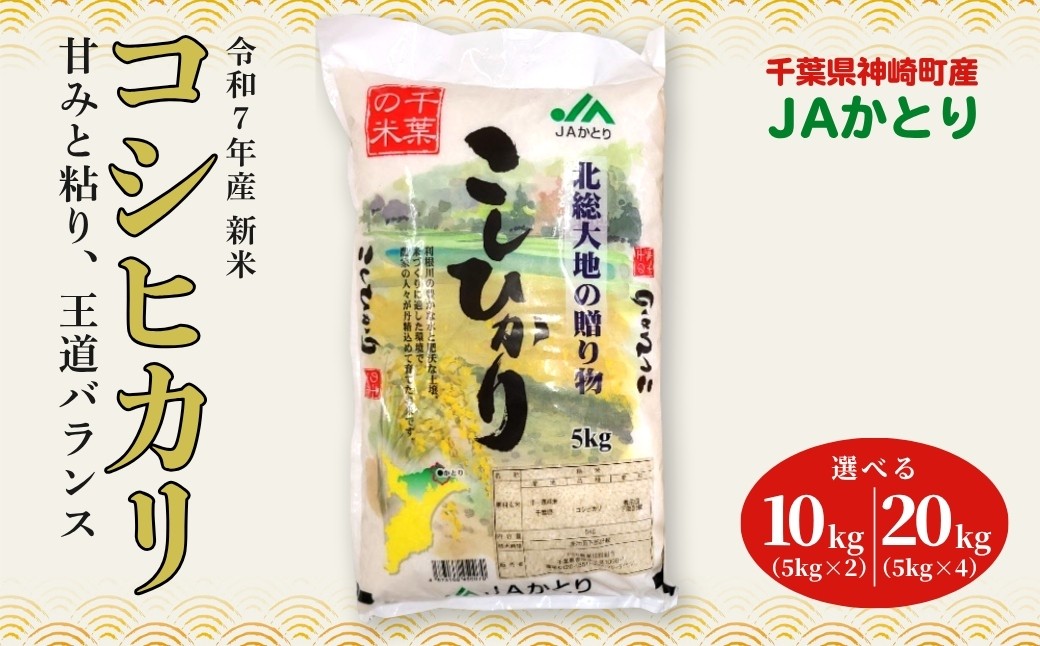 
            【数量が選べる】JAかとり直送 コシヒカリ 精米10kg/20kg 千葉県産 令和7年産 神崎町 [001-a004/001-a005]
          