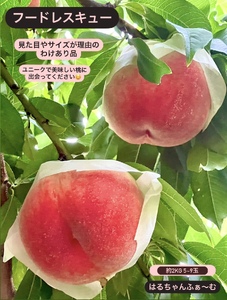見た目が理由の訳あり桃 約2kg（5～9玉）【2026年発送】（HCF）A07-845 訳あり 桃 フルーツ