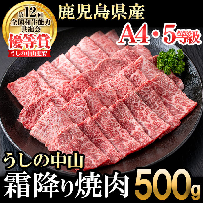 【ふるさと納税】うしの中山 霜降り焼肉用500g×1P 黒毛和牛 和牛 肉 牛肉 国産 九州産 鹿児島県産 焼肉 日本一【nixy CHUZAN】 b0-200