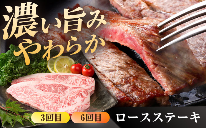 【肉のプロが厳選！】【全6回】佐賀牛 贅沢定期便【株式会社いろは精肉店】 [IAG075]