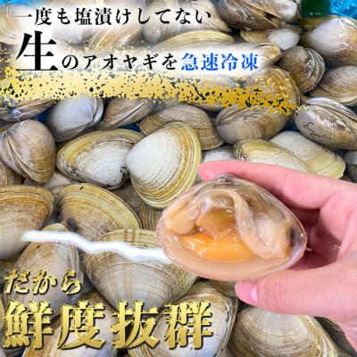 ふるさと納税 南知多町 岬だよりの【訳あり】青柳釣り餌用　150g×6袋セット |  | 01