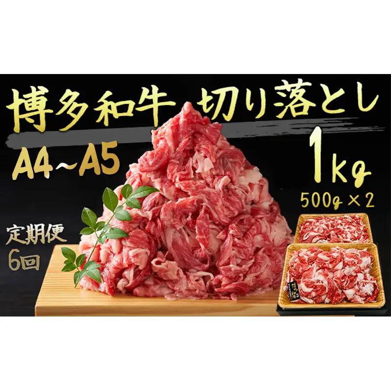 【定期便6ヶ月】 牛肉 A4～A5 切り落とし 合計1000g（500g×2p）博多和牛 牛肉