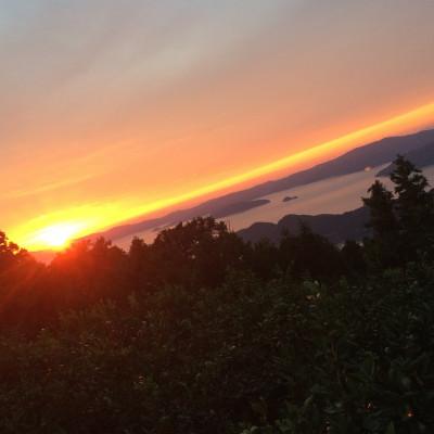 ふるさと納税 八幡浜市 【まろやか果汁、やさしい酸味。】愛媛育ちの完熟レモン 4kg【C49-103】 |  | 03