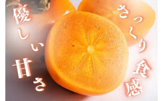 刀根柿 約 7.5kg※箱込み 家庭用 / カキ  甘い 種なし 美味しい 秋の味覚 和歌山県 紀美野町 ※2026年9月下旬～10月上旬に順次発送【frt504-c-tone-7d5】