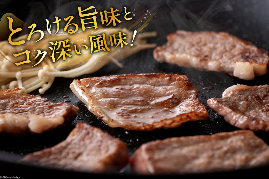 牛肉 定期便 宮崎牛焼肉セット 3ヶ月定期便 [ミヤチク 宮崎県 美郷町 31au0057] 焼肉 冷凍 小分け 個包装 宮崎牛 牛 牛肩ロース 牛ウデ 牛モモ_イメージ4