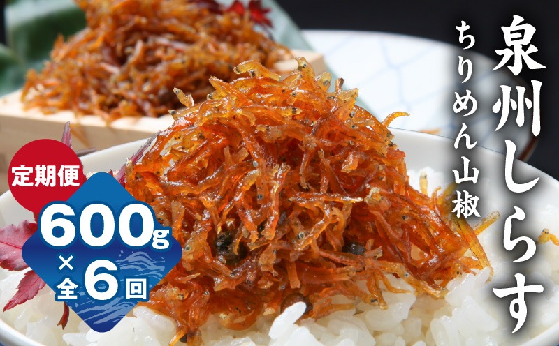 G2192 【定期便】泉州しらす （ちりめん山椒）600g×全6回 真面目漁師 濱ちゃんのこだわり