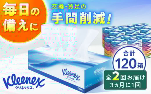 【全2回定期便(3ヵ月に1回)】クリネックス ティシュー　60箱(5箱×12パック )【日本製紙クレシア株式会社】開成町 ティッシュ ティッシュペーパー まとめ買い ボックスティッシュ 定期便 [BDAM004]