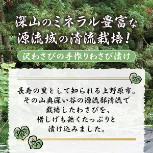 長寿むら入山沢水源わさび漬 手作り×５個