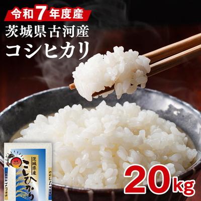 ふるさと納税 古河市 令和7年産 古河市産 コシヒカリ 20kg(5kg×4袋) ※2025年9月〜発送 _DP24