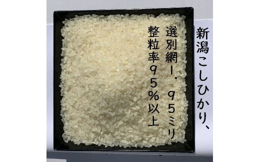 【令和8年産新米】 新潟県産「従来こしひかり」＆「新之助」 白米 食べ比べ 20kg（各5kg×2袋）セット 阿賀野市産 中島農場 精米 新潟県 米 こめ コメ お米 ごはん ご飯 農家直送 色彩選別