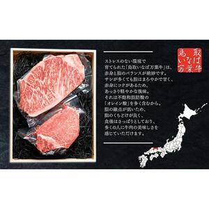 628.鳥取 いなば万葉牛 シャトーブリアン ・サーロインステーキ　セット 各150g | サーロインステーキ