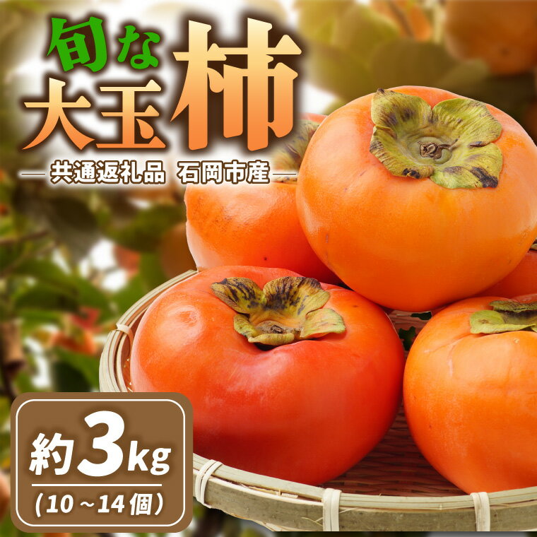 【ふるさと納税】旬な大玉柿　約3kg(10〜14個)県内共通返礼品石岡市産【配送不可地域：離島・沖縄県】 (BR176)