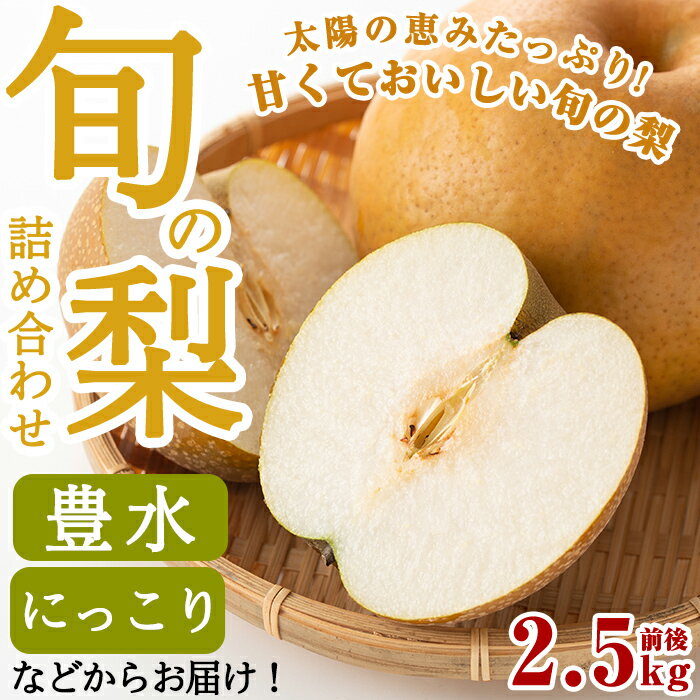 【ふるさと納税】＜先行予約受付中！2025年8月中旬～10月上旬の間に発送予定＞梨詰め合わせ(約2.5kg前後)ナシ なし フルーツ 果物 秋 旬 なつしずく 豊水 王秋 新高 にっこり 愛宕 新鮮 旬【さくら農園】