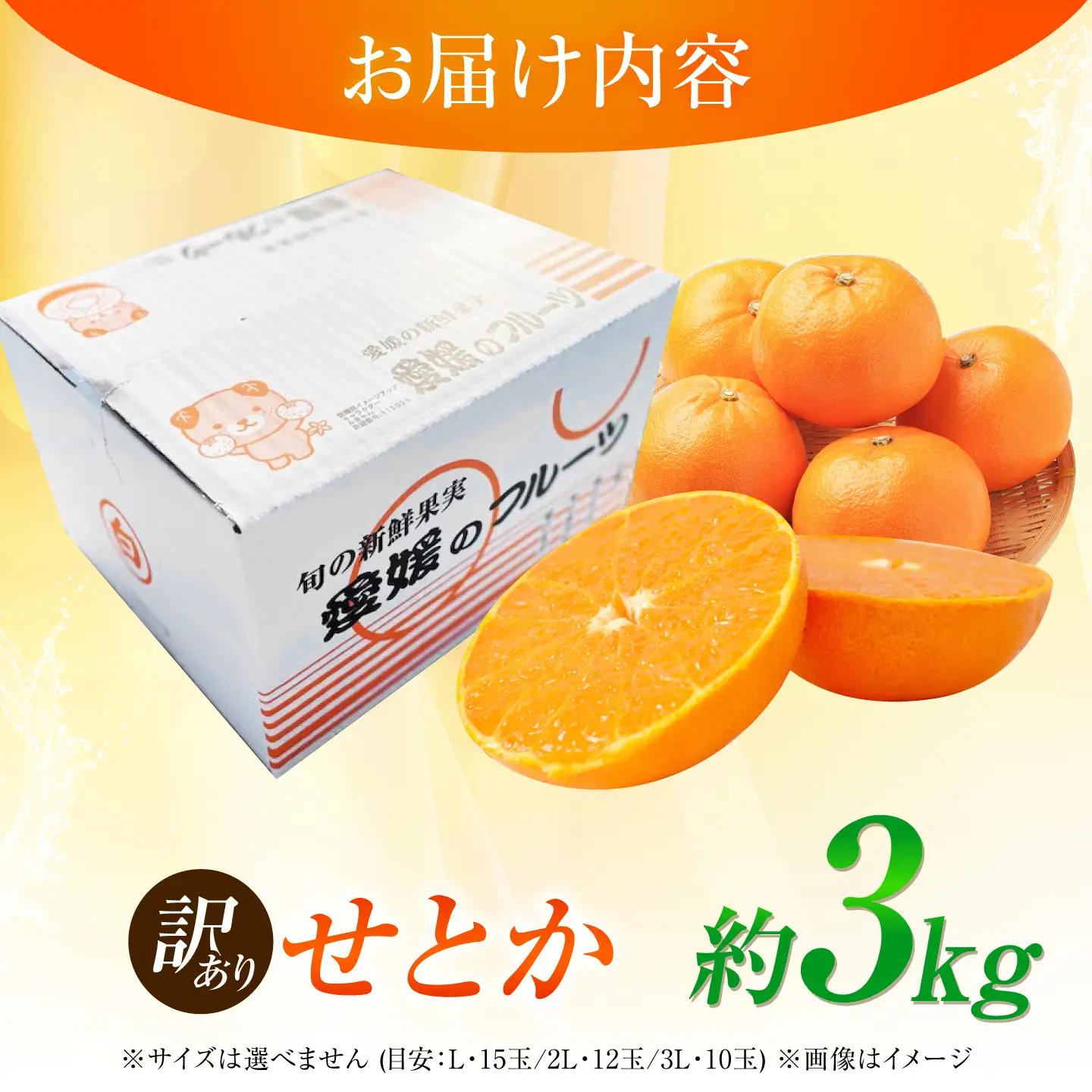 みかん 訳あり せとか 約3kg フルーツ 果物 みかん 訳あり BJBE002