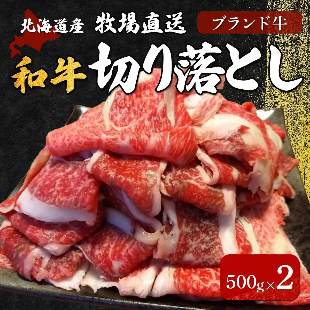 北海道産 黒毛和牛 おぐにビーフ 牧場直送 切り落とし 500g×2 HOKQ003
