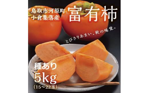 富有柿 5kg箱 (L～2Lサイズ) 312011_CQ001