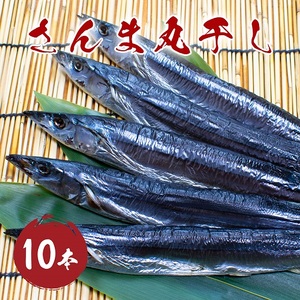 干物 さんま丸干し 10本 さんま干物【mtys0010】