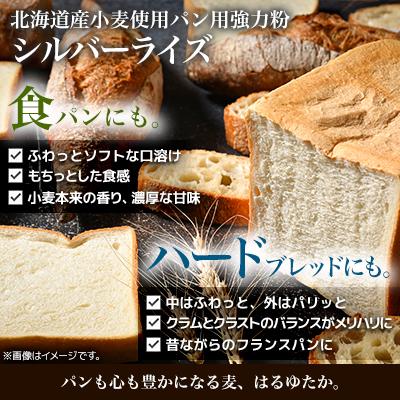 ふるさと納税 室蘭市 北海道産はるゆたかブレンド小麦　シルバーライズ　パン用強力粉 5kg(2.5kg×2袋) |  | 02
