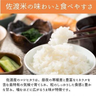 ふるさと納税 佐渡市 【発送月固定定期便】先行予約　令和8年1月発送開始　新潟県佐渡産純粋コシヒカリ　無洗米5kg全3回 |  | 01
